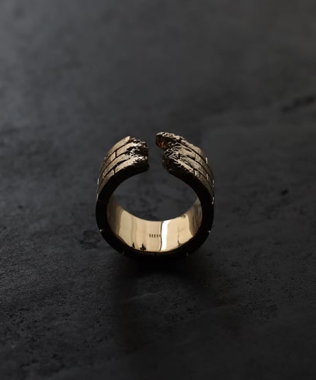 Wall ring / Gold