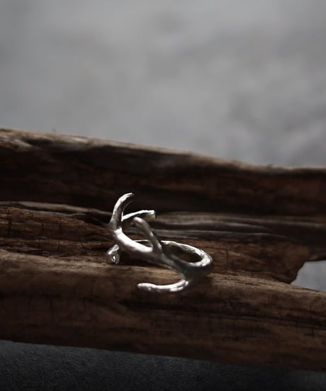 Wither ring 01