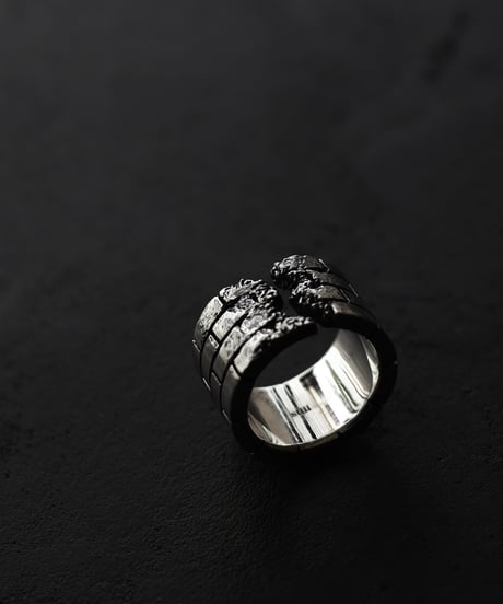Wall ring / Silver
