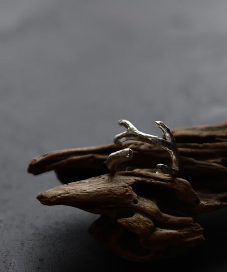 Wither ring 01