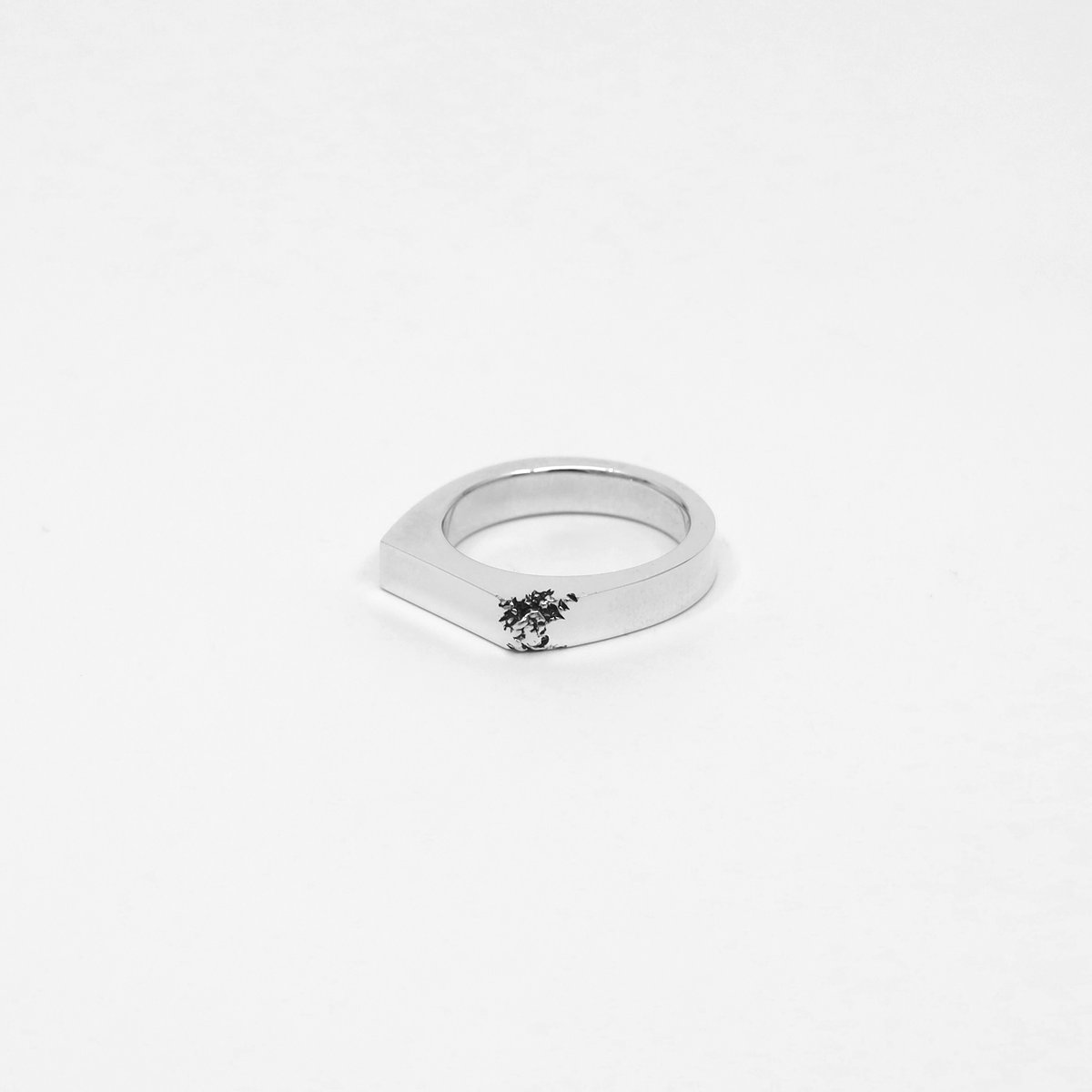 Crack ring 05 | stlll