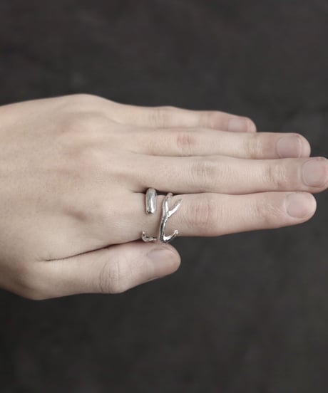 Wither ring 01