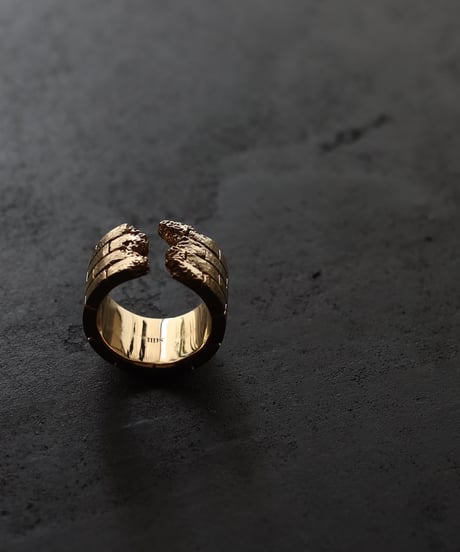 Wall ring / Gold