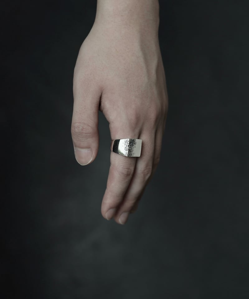 Crack ring 03 | stlll