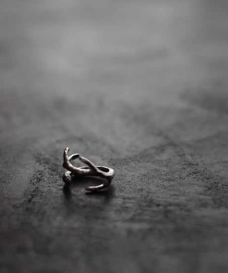 Wither ring 01