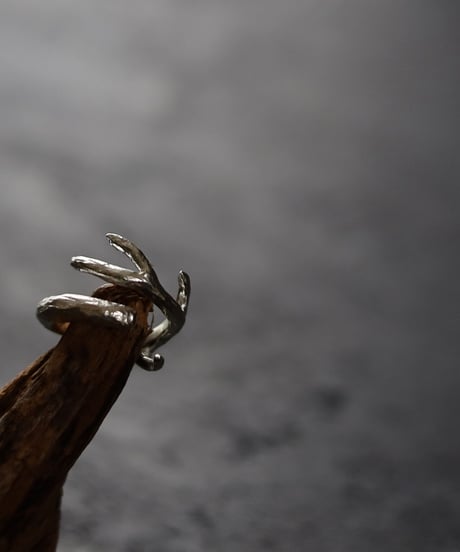 Wither ring 01