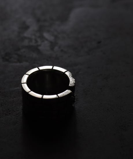 Wall ring / Silver