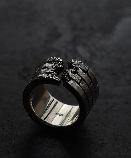 Wall ring / Silver