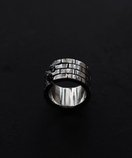 Wall ring / Silver