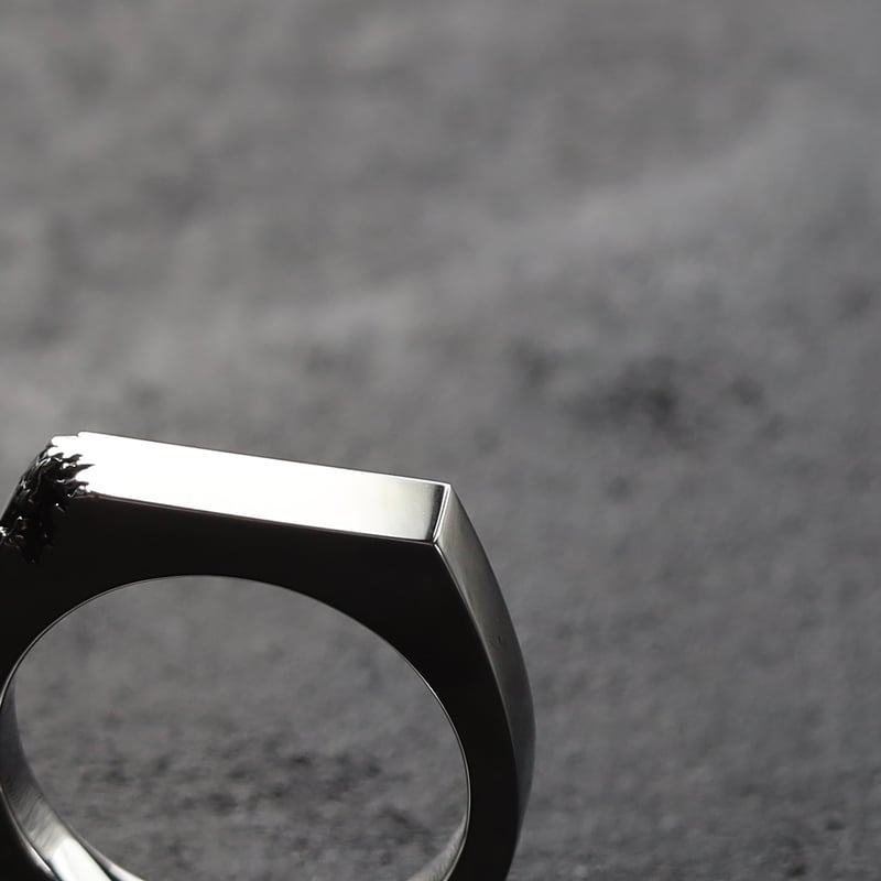 アクセサリー ruin crack ring Crack