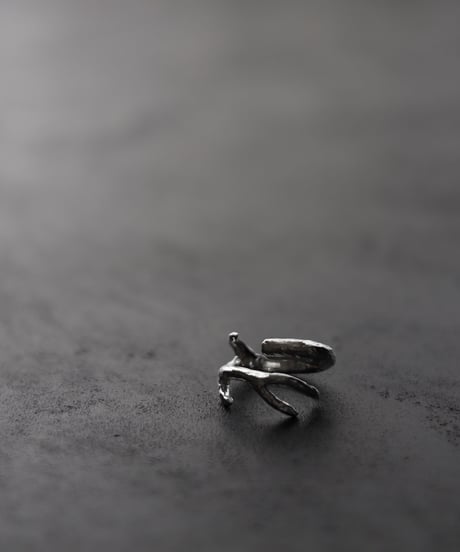 Wither ring 01