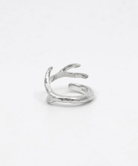 Wither ring 01