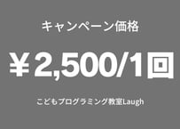 キャンペーン価格