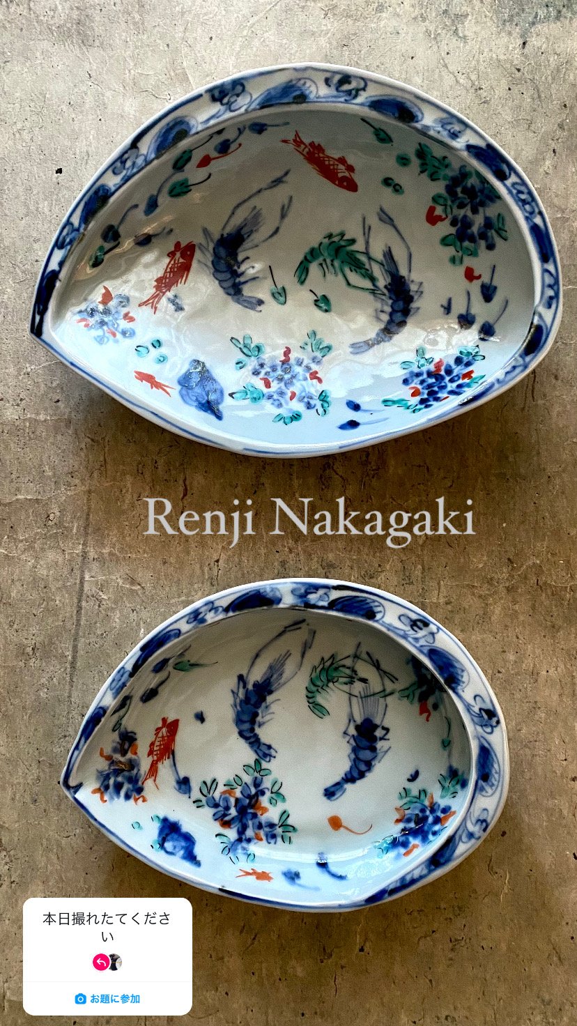 🔶SALE🔸 中垣連次 染付色絵藻魚紋 貝鉢（中） | MatsuBokkuri