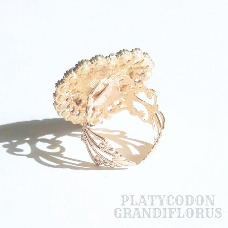 魔法少女の変身リングⅡ ～碧落の便り～ | PLATYCODON GRANDIFLORUS