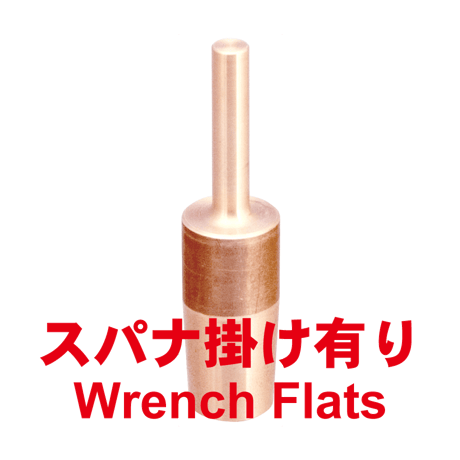 段付チップ　DT6-1665-30-1-SA