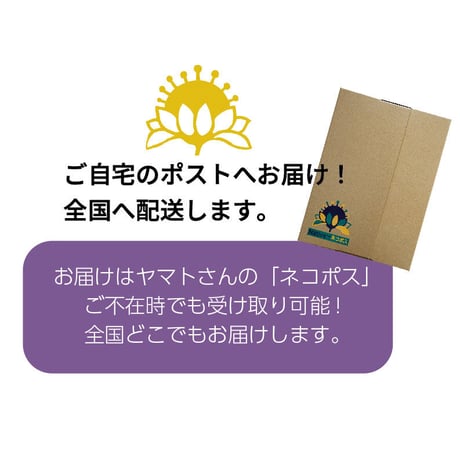 【お花の定期便／月１回お届け／木曜日コース】（送料込）