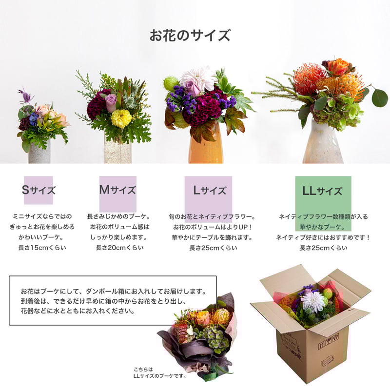 お花の定期便／LLサイズ】月1回お届け・土曜日コース（送料込