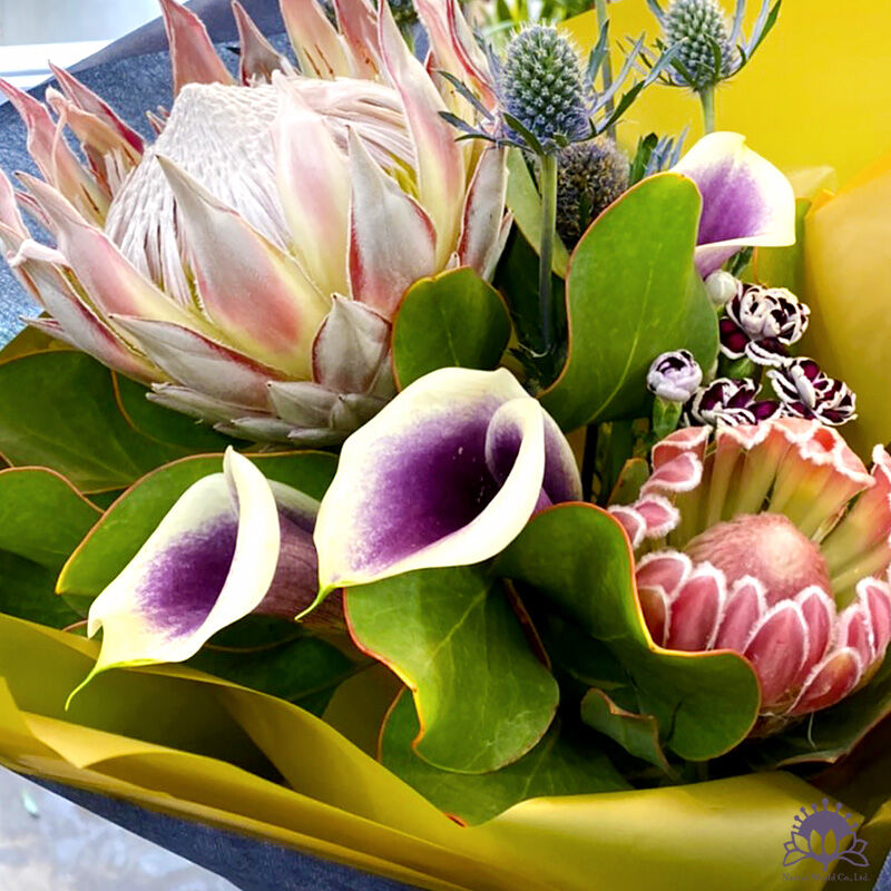 花束・ブーケ】プロテアとカラー | ネイティブの花屋