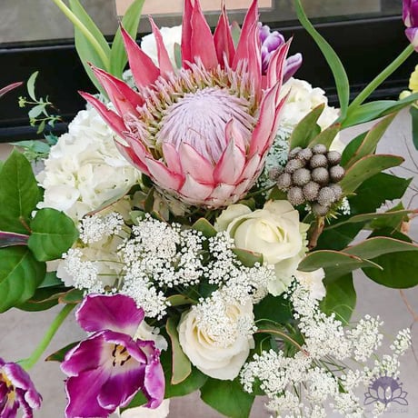 【アレンジメント】キングプロテアと季節のお花