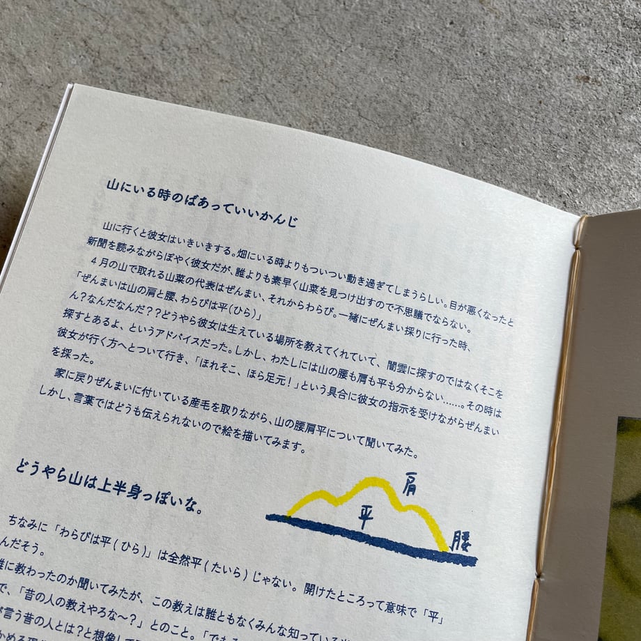 676e526a8e735f04b73f6376