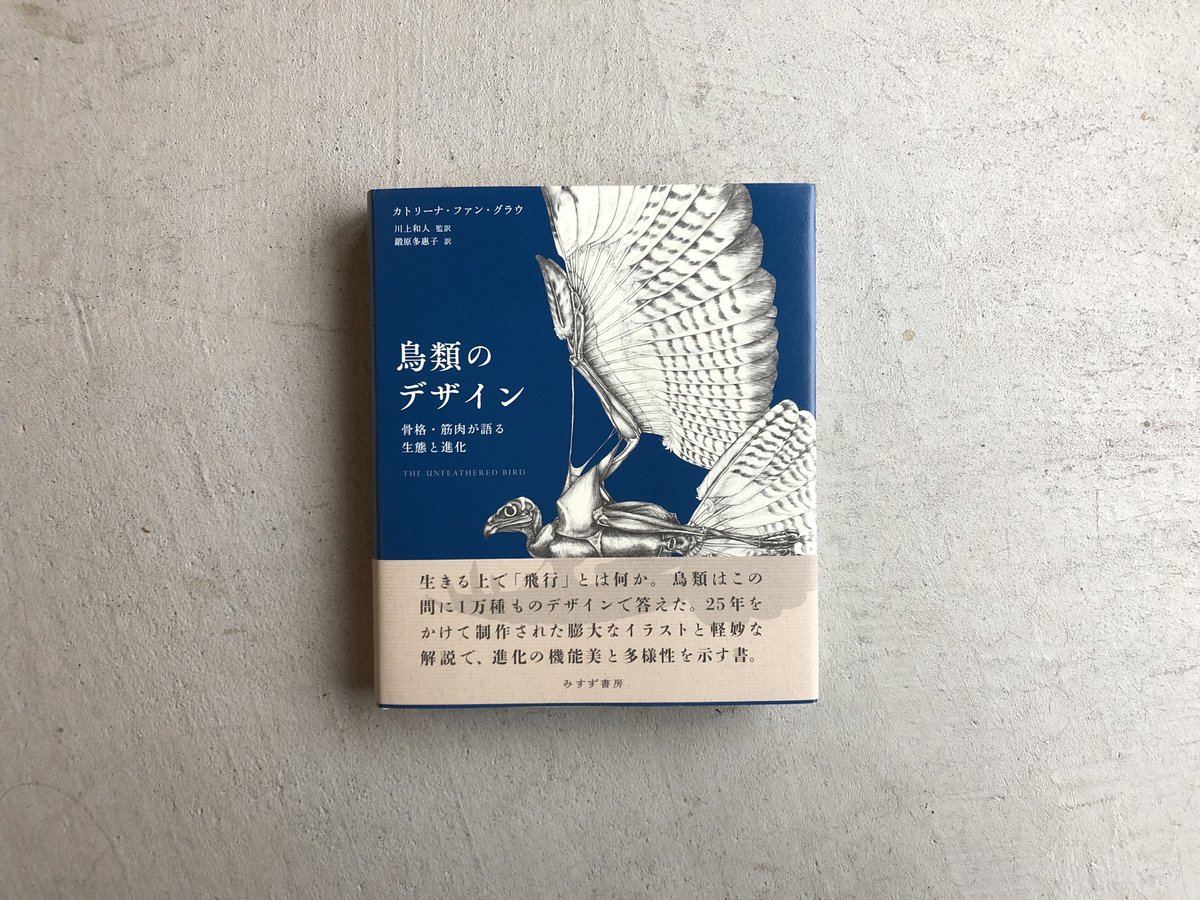 鳥類のデザイン 骨格・筋肉が語る生態と進化 ｜ カトリーナ