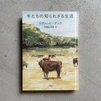 [古本]  牛たちの知られざる生活 ｜ ロザムンド・ヤング