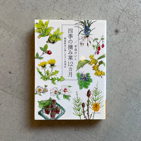 ヤマケイ文庫 | STORES