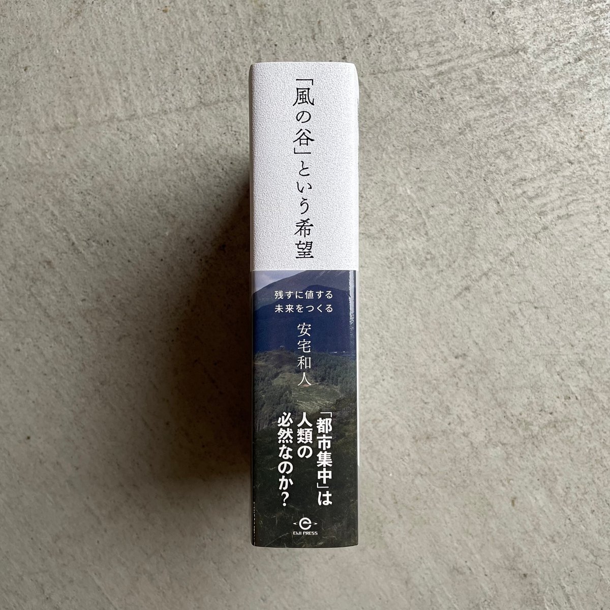 【希少残1新品】未使用 「風の谷」という希望 残すに値する未来をつくる 安宅和人 Amazon.co.jp: 「風の谷」という希望――残すに値する未来をつくる