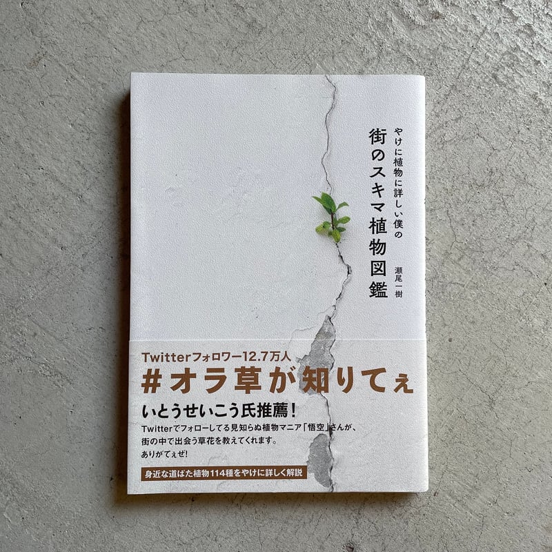 古本] やけに植物に詳しい僕の 街のスキマ植物図鑑 ｜ 瀬尾 一樹 | HUT