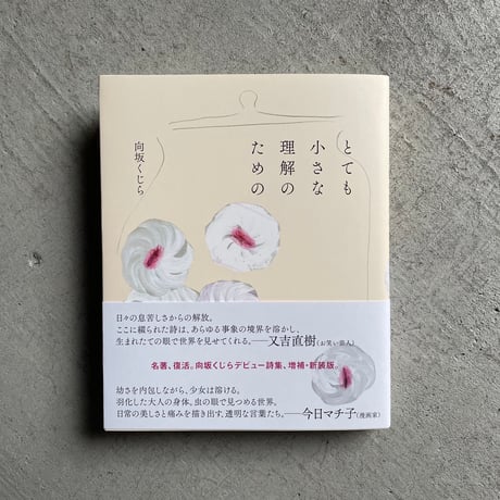 桐杏学園　新しい詩　短歌　俳句　文法　語句の解き方 2冊セット 桐杏学園 新しい詩 短歌 俳句 文法 語句の解き方 2冊セット 桐杏