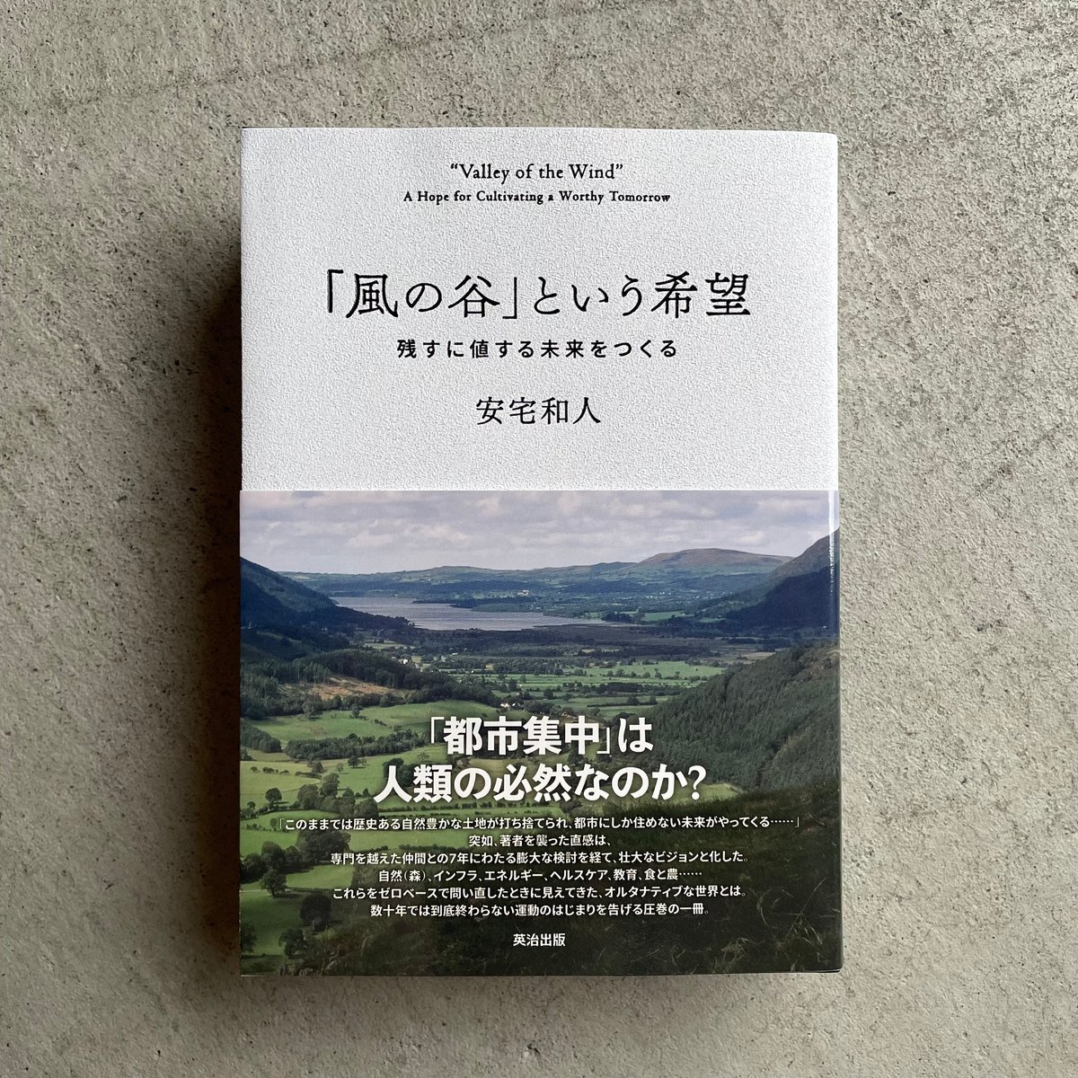 【希少残1新品】未使用 「風の谷」という希望 残すに値する未来をつくる 安宅和人 風の谷」という希望――残すに値する未来をつくる | 安宅和人 |本