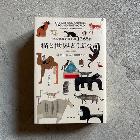 中西なちお | STORES