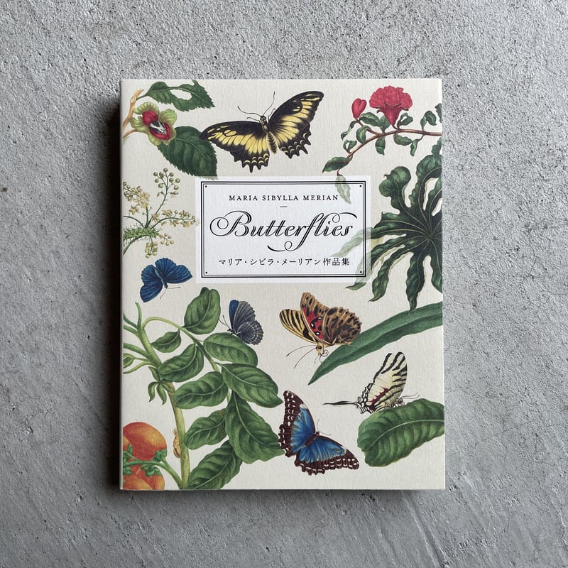 fit=cover,w=800,h=800