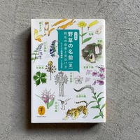 [古本]  野草の名前 夏　和名の由来と見分け方 ( ヤマケイ文庫 ) ｜ 高橋 勝雄
