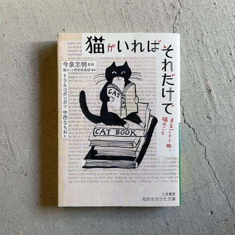 中西なちお | STORES 中西なちお | STORES