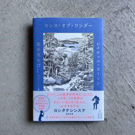 森田真生 | STORES