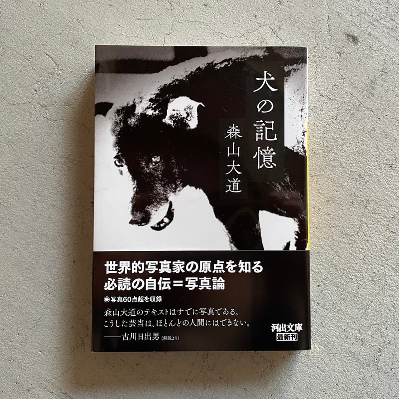古本] 犬の記憶 ( 河出文庫 ) ｜ 森山 大道 | HUT BOOKSTORE
