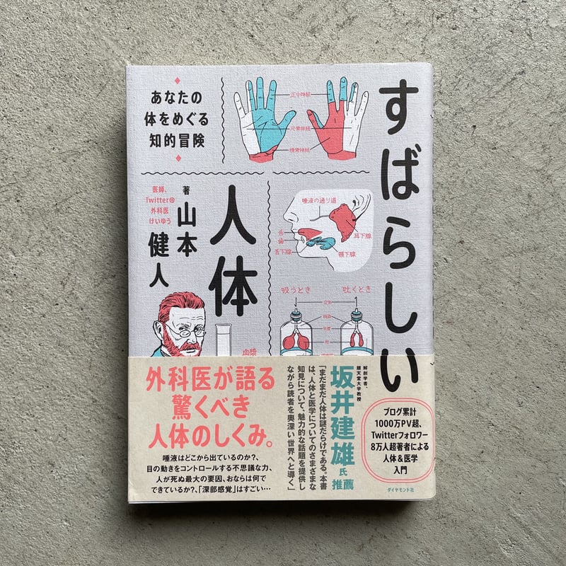 古本] すばらしい人体 あなたの体をめぐる知的冒険 ｜ 山本 健人 | HUT