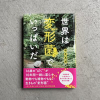 [古本]  世界は変形菌でいっぱいだ ｜ 増井 真那