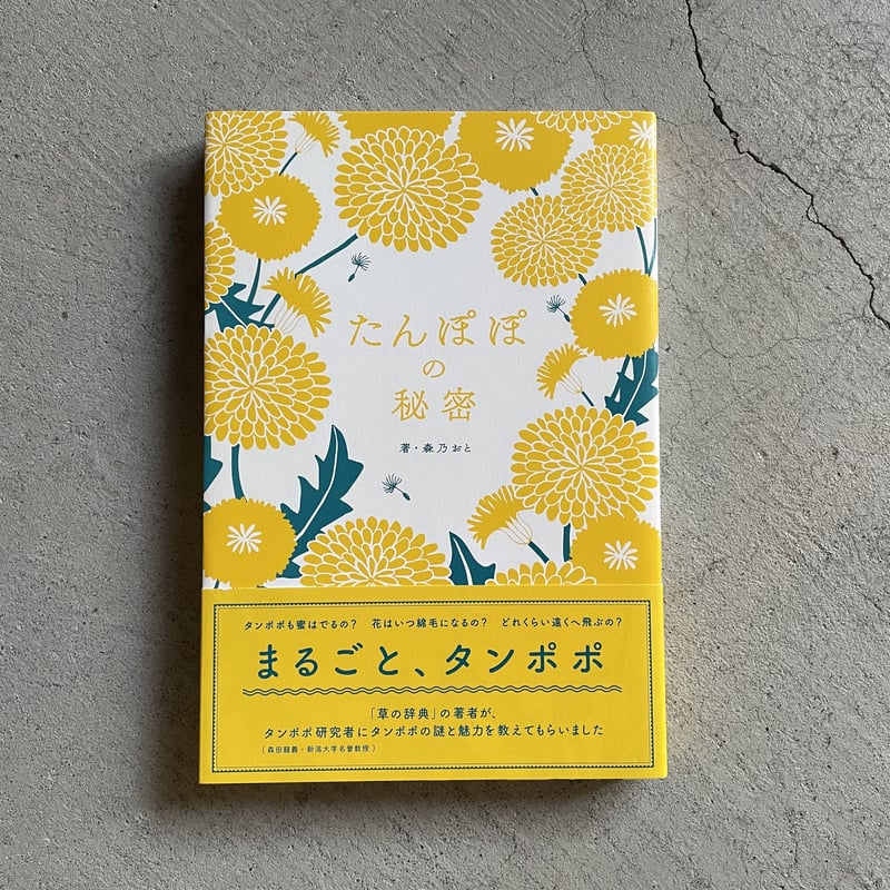 古本] たんぽぽの秘密 ｜ 森乃おと | HUT BOOKSTORE