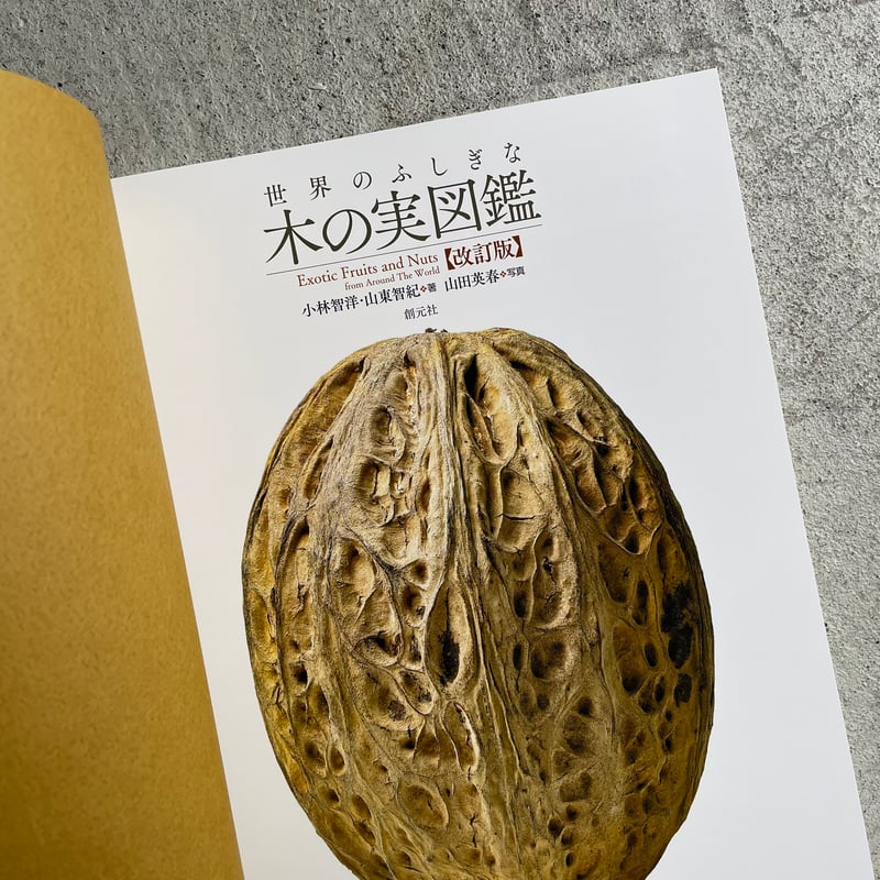 世界のふしぎな木の実図鑑 【改訂版】 ｜ 小林 智洋 、 山東