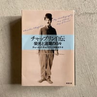 知覚の宙吊り 注意、スペクタクル、近代文化 ( 平凡社ライブラリー