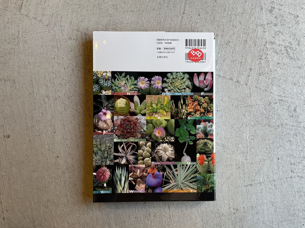 『世界の文様』5冊セット　欧州　中近東・・米大陸　動植物　幾何　珍しい文様多数 豪華で新しい 欧州 世界の文様』5冊セット 中近東・・米大陸