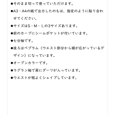 #027_前カーブポケットブラウス【L】_DL_A3（紙ではありません）