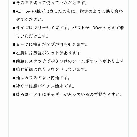 030_前立てタブ付きヨークロングシャツ_DL_A3（紙ではありません）