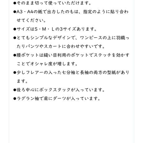 #029_ラグラン袖シンプルトップス【L】_DL_A4（紙ではありません）