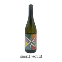 small world (Blanc 2023)