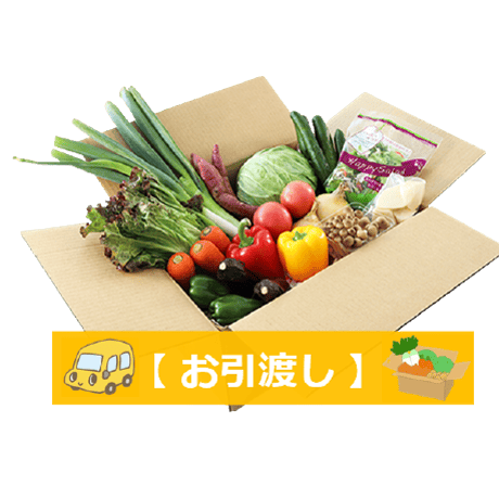 規格外野菜　1980円セット　【お引渡し・送料無料】