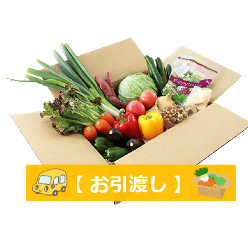 お野菜 LED水耕栽培 野菜詰め合わせ 1kgセット＜野菜 やさい レタス